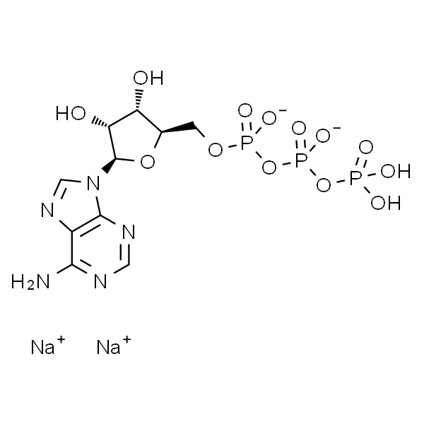 5-腺苷三磷酸二钠盐